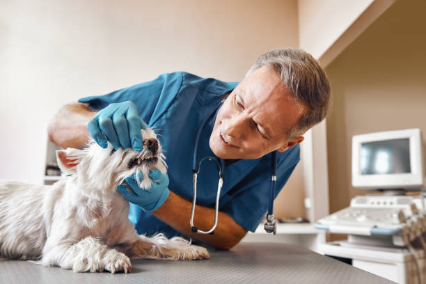 Best Emergency Tooth Extraction in Clarinda, IA